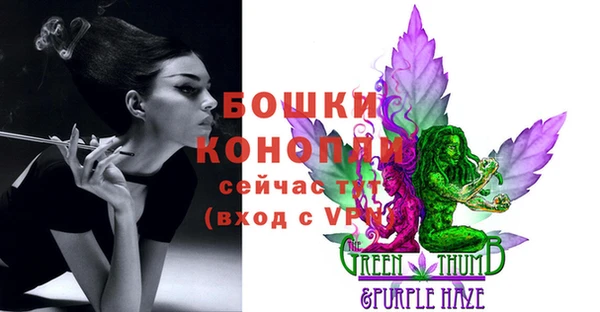 дживик Балахна